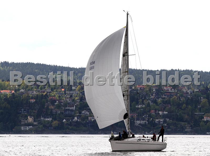 Bundefjorden2012 390.jpg